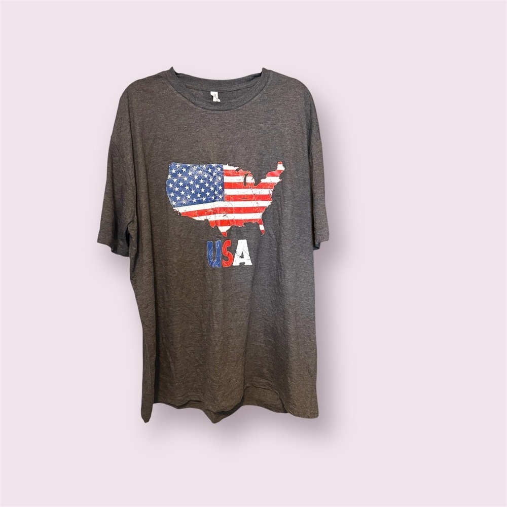 USA Graphic T-Shirt, Grey